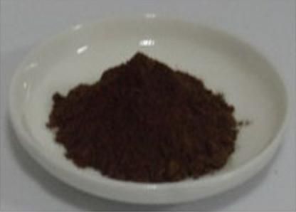 Boletus Edulis Extract Powder