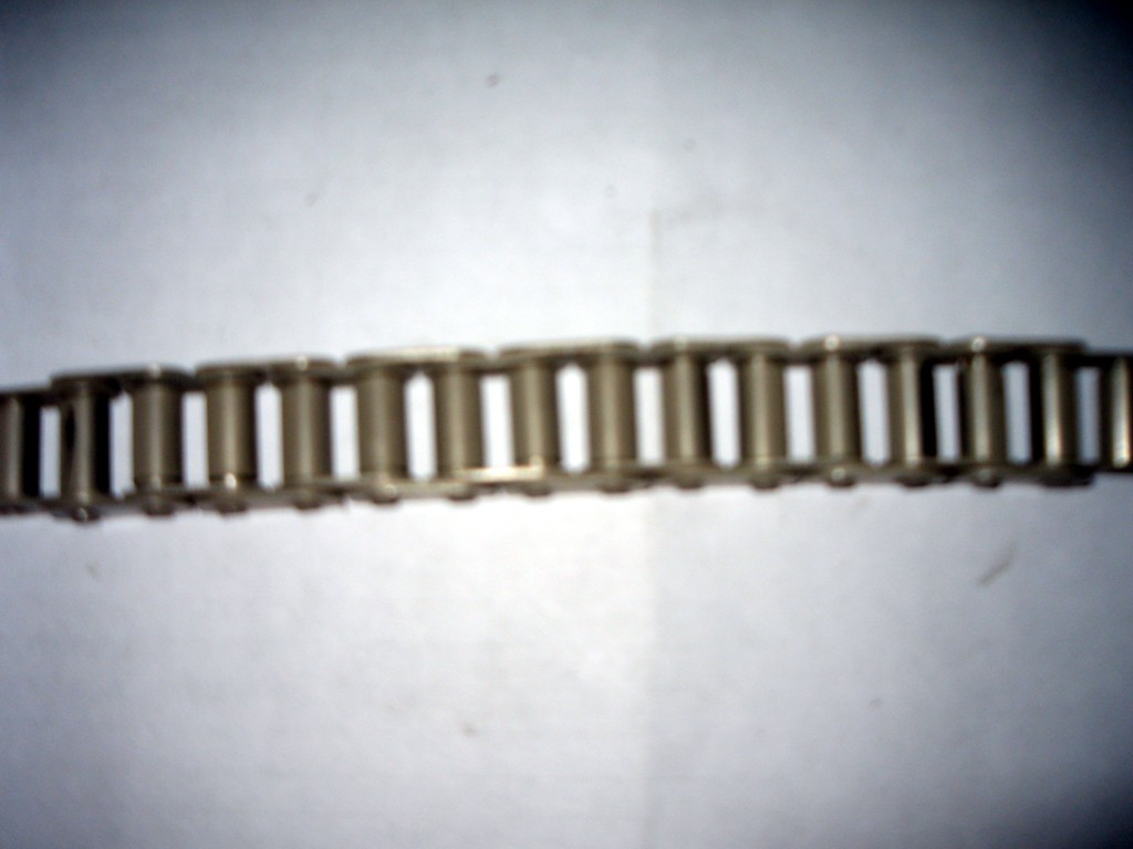 the roller chains of titanium