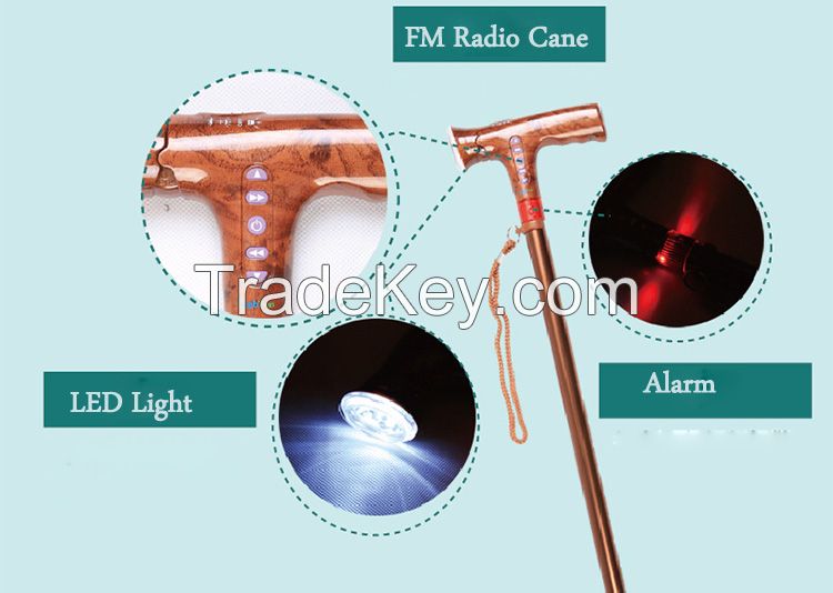 Adjustable Led Trekking Pole With Fm Radio Alpenstock