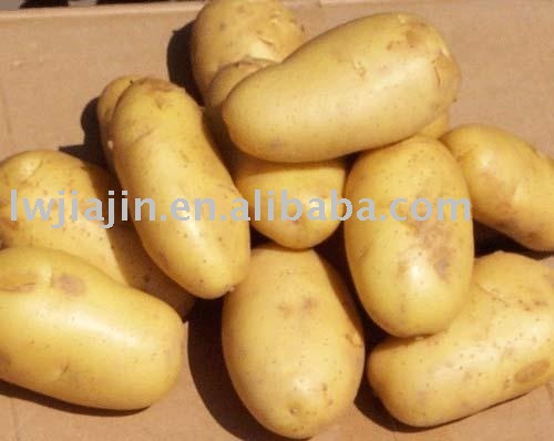 Sell potato