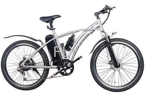 electric bicycle