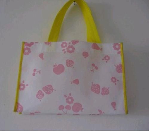 Non-woven Fabric Bag