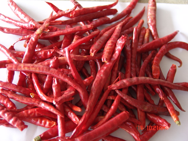 yunnan chilli