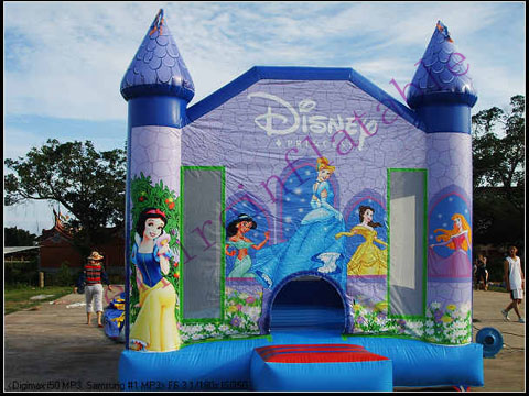 Inflatable Disney Castle