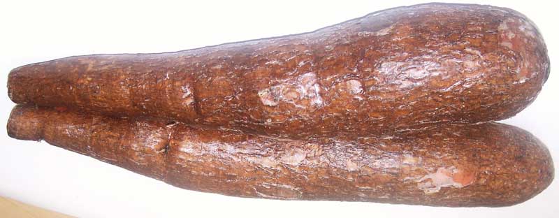Yucca Root (Cassava)