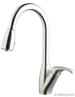Stainless Steel Pull Out Kitchen Faucet