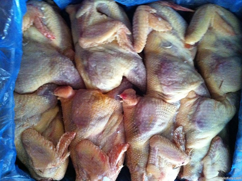 Frozen Whole Chicken