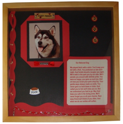 Pet Shadow Boxes $25.00