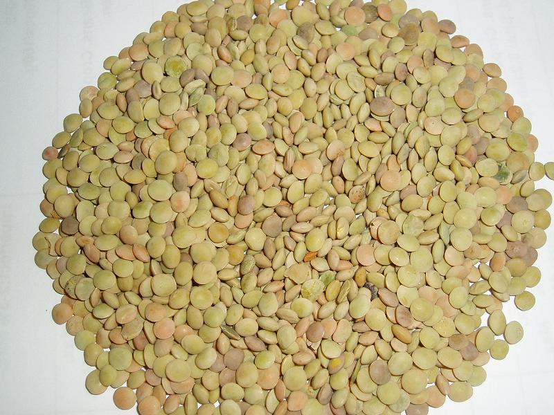 green lentils