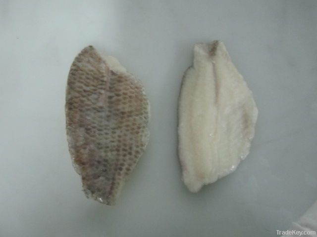 seabass fillet