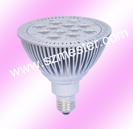 LED Light