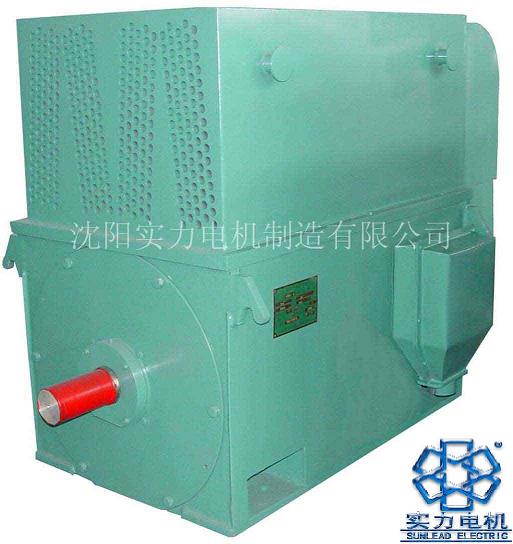 High voltage three phase ac induction motor