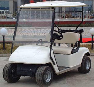 Gas Golf Cart