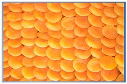 dried apricot