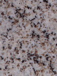 granite slab-sesame white