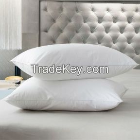 filled  pillow     and  pillow cover
