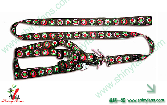 lanyard 01