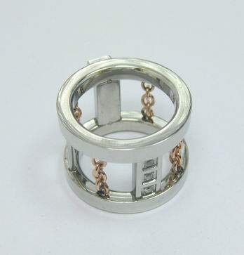 stainless steel ring