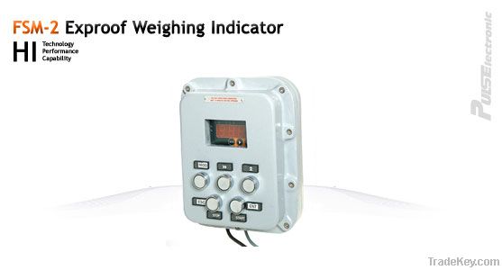 Weighing Indicators