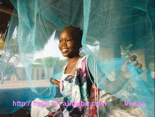 insecticide treated nets ITNs