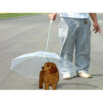 pet umbrella