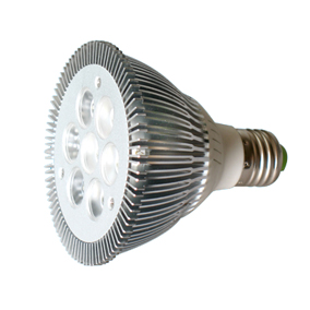 PAR30 LED LIGHT