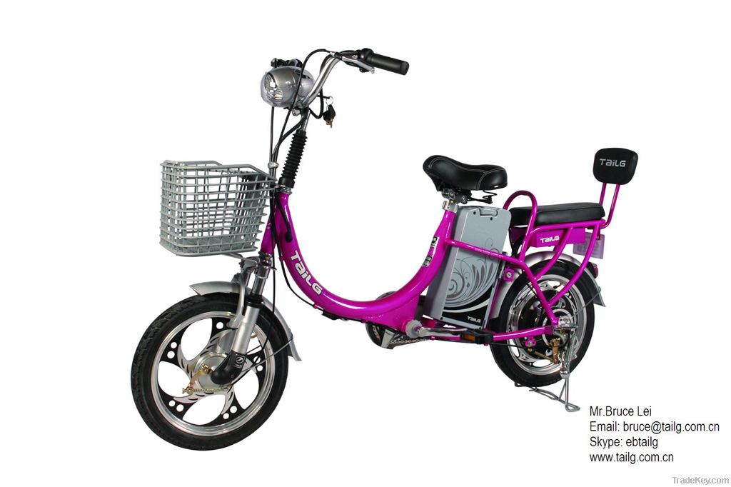 electric bike TDR226Z EN15194