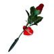 romantic recording rose for valentine day