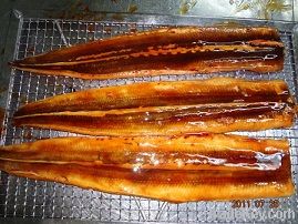 frozen roasted conger eel fillet (anago)