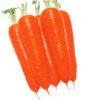 carrot