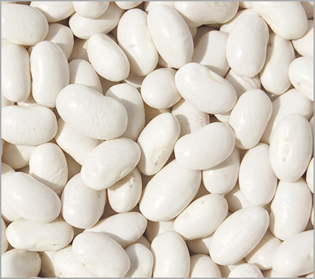 White kidney bean