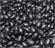 black  kidney bean