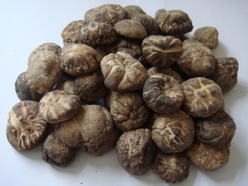 dried brown flower shiitake mushroom