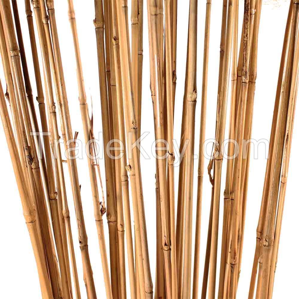 Bamboo Poles/Canes - Guadua 
