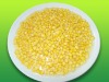 sweet corn kernel