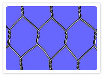 Heavy Hexagonal Mesh