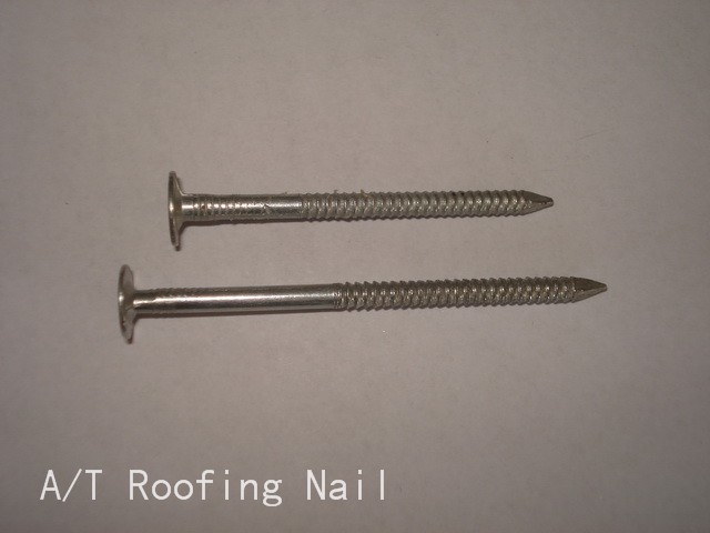Annular Thread Roofing Nail