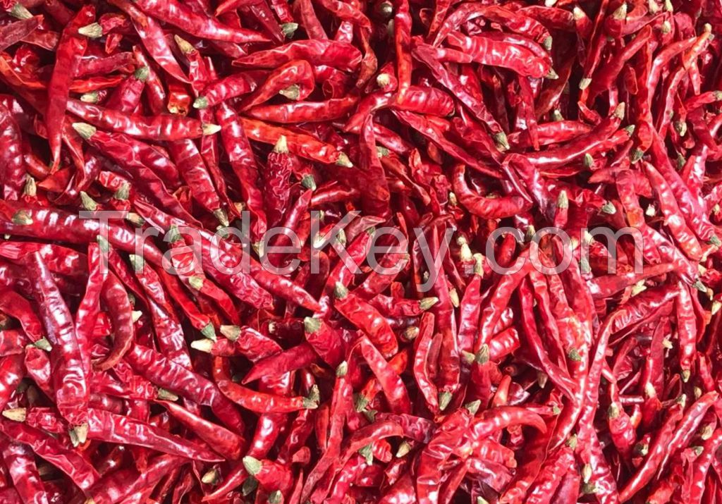 Reg ; Hot Dry Red Chillies in Bulk Supply at from Chennai India - rja S17, 2. Sannam 334 / S4 / S10, 3. Byadgi, 4. Endo 5, 5 Wrinkled 273, 6. Guntur Red Chilli, 7. Kashmiri Chilli, 8. DD Chilli, 9. Mahi Red Chilli,