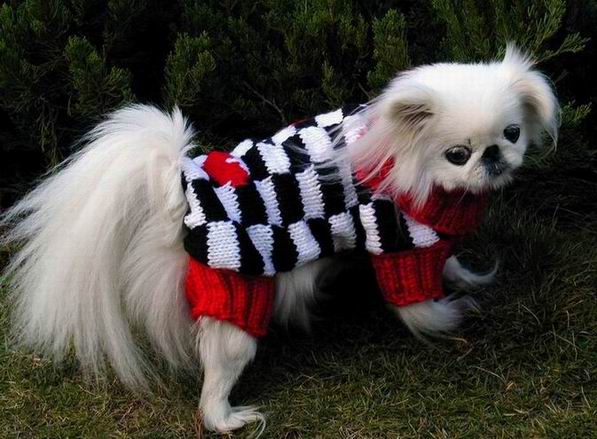 hand made pet sweaters