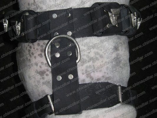 weighted dog harnesses