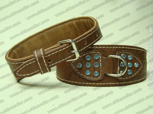 personalized dog collars