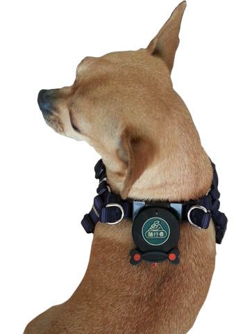 dog harness with build in retractable leash