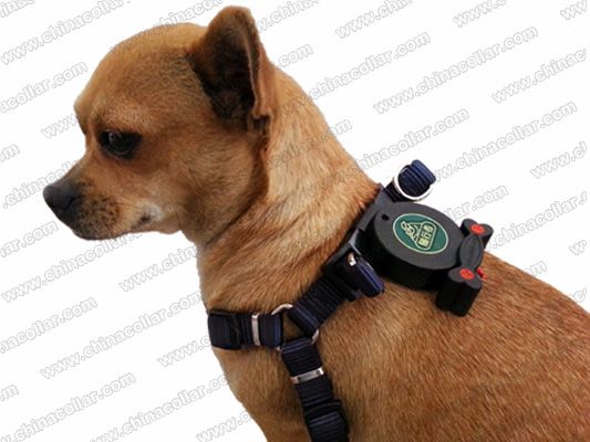 dog harness with build in retractable leash