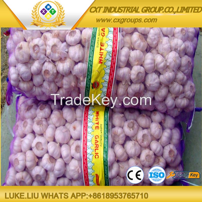 2016 NEW  FREASH Garlic FROM JINXIANG