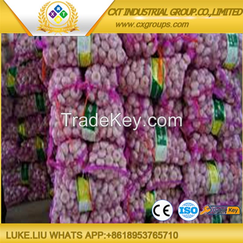 2016 NEW  FREASH Garlic FROM JINXIANG