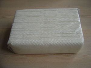 hand paper towel