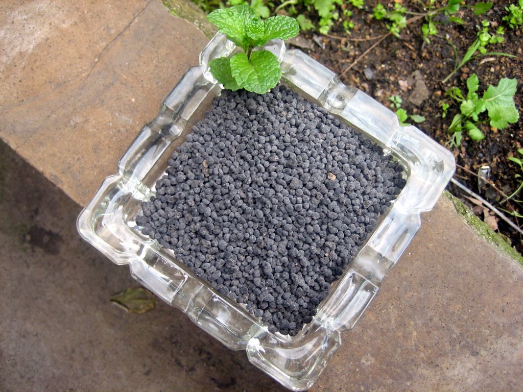 organic fertilizer