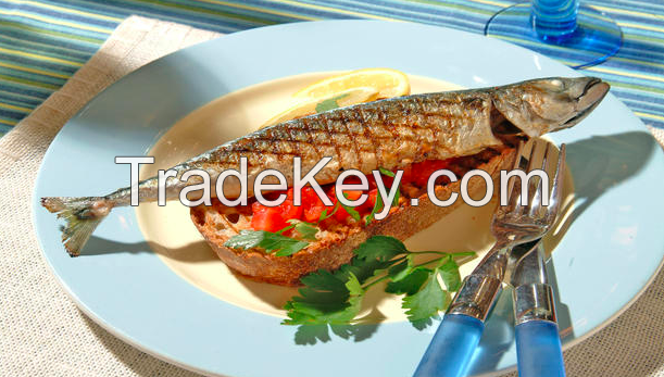 Norwegian canned mackerel