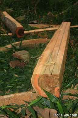 TEAK Boards and Lumber ECUADOR