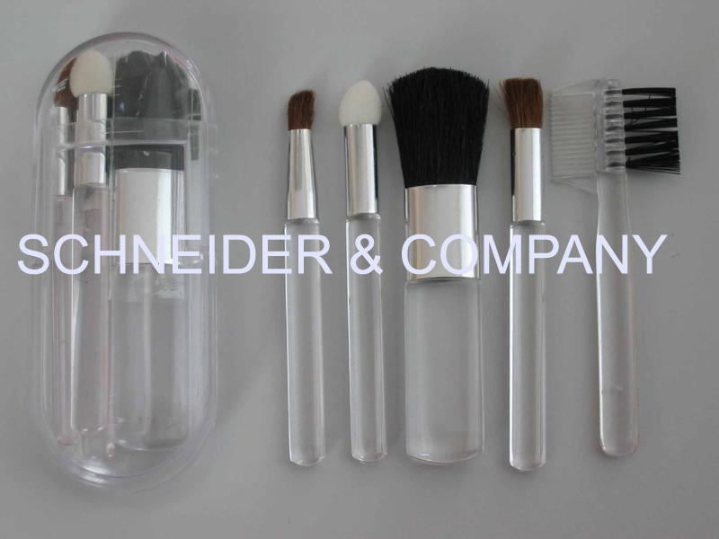 5 Pieces Cosmetic Brushes in Plastic Case